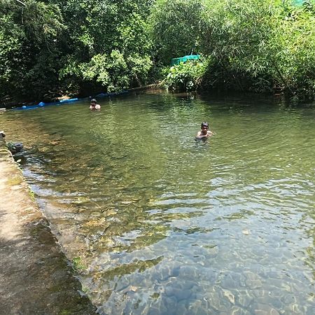 Tharayil Farm Stay Vagamon Dış mekan fotoğraf