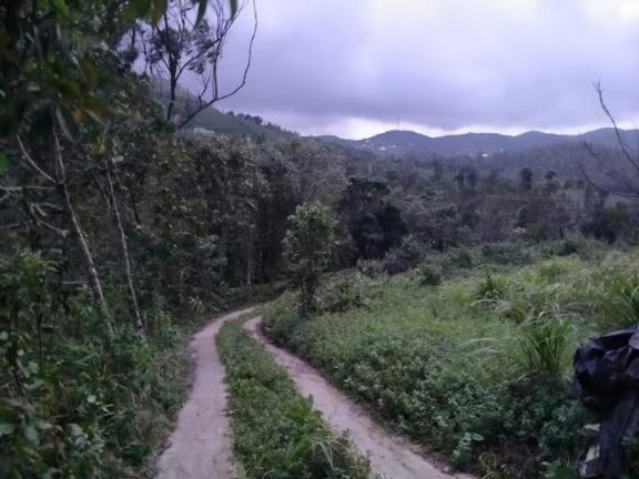Tharayil Farm Stay Vagamon Dış mekan fotoğraf