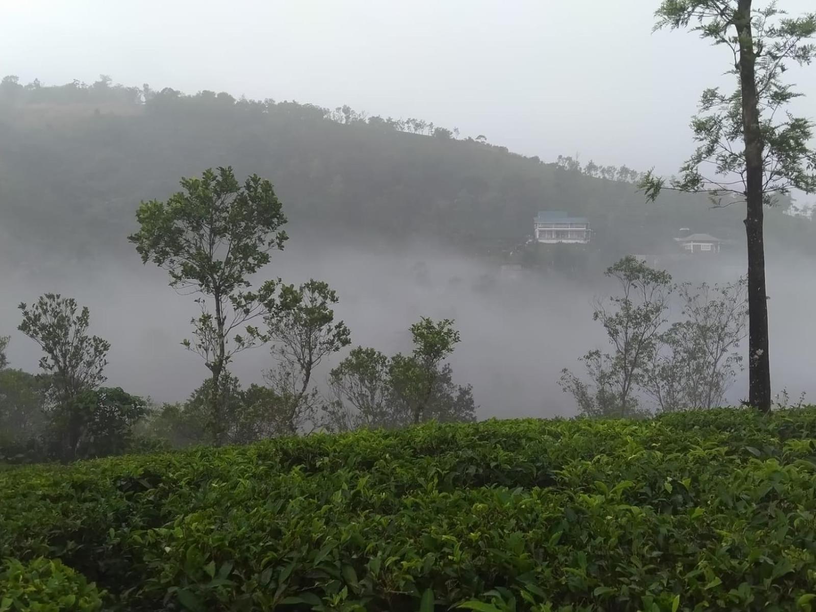 Tharayil Farm Stay Vagamon Dış mekan fotoğraf
