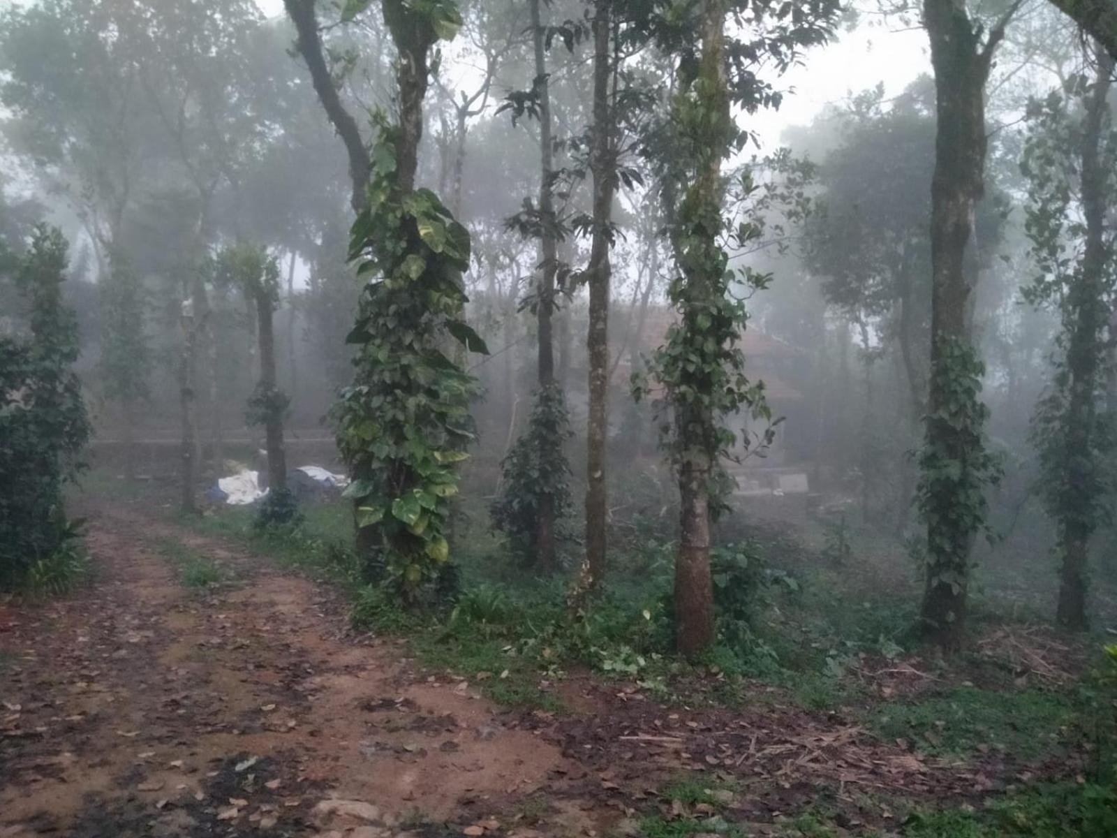 Tharayil Farm Stay Vagamon Dış mekan fotoğraf