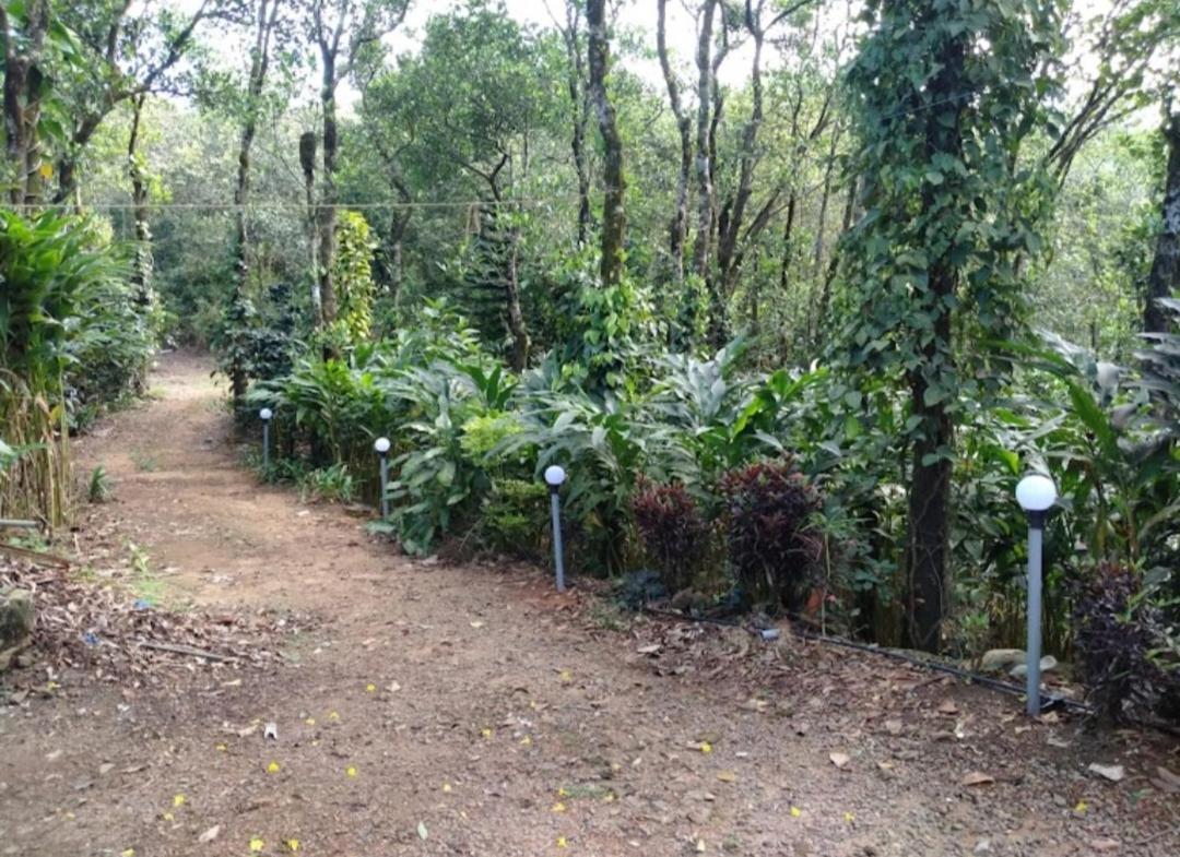 Tharayil Farm Stay Vagamon Dış mekan fotoğraf