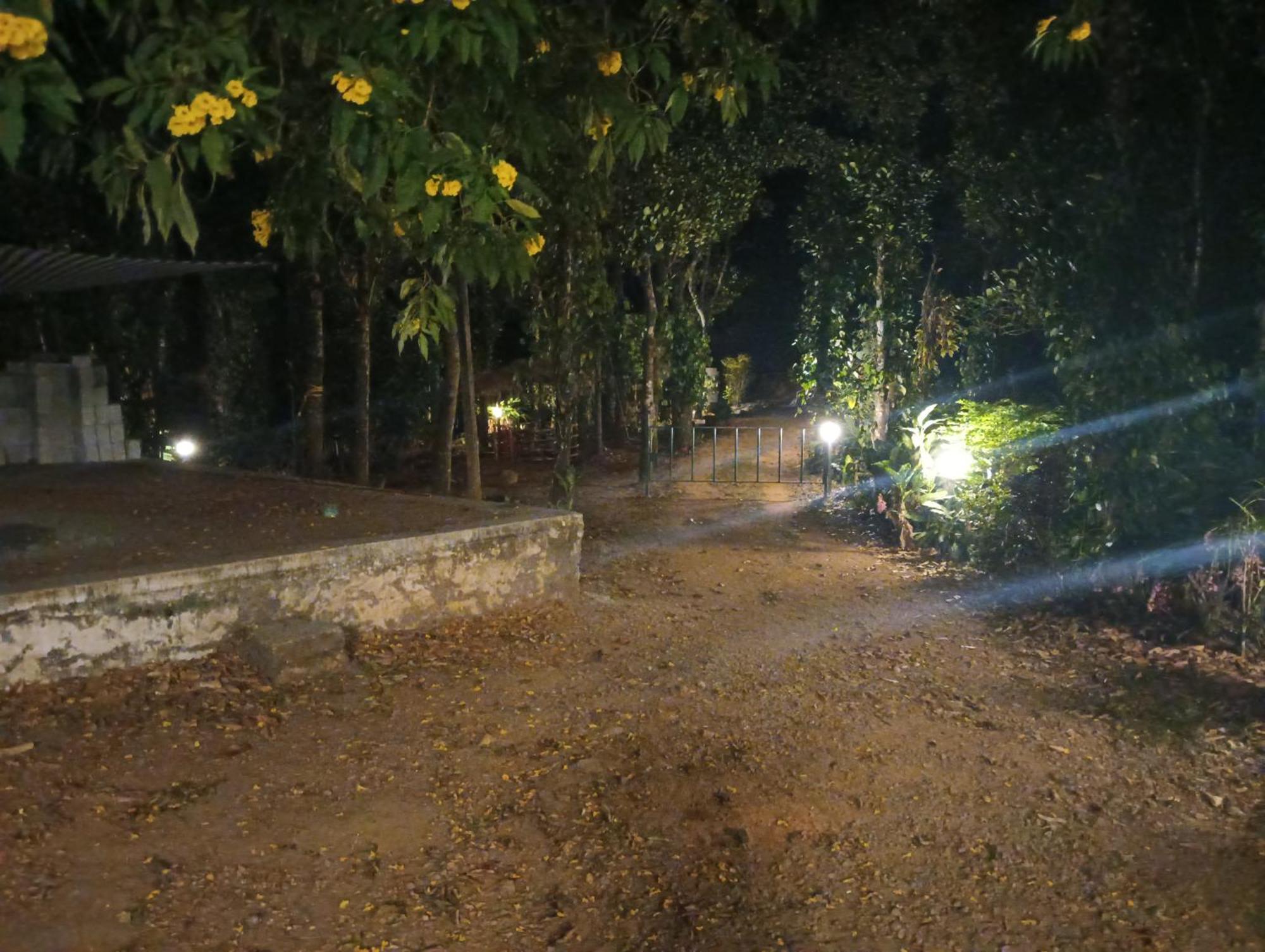 Tharayil Farm Stay Vagamon Dış mekan fotoğraf