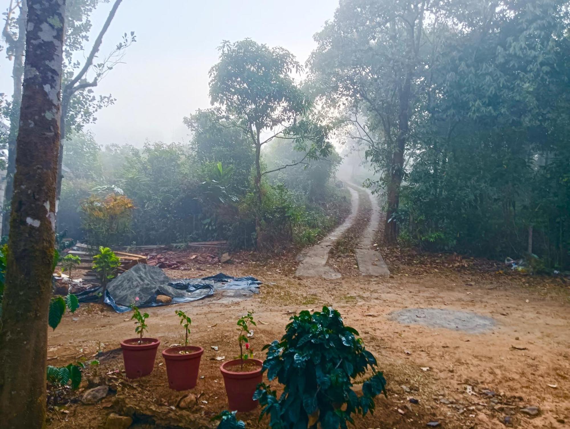 Tharayil Farm Stay Vagamon Dış mekan fotoğraf
