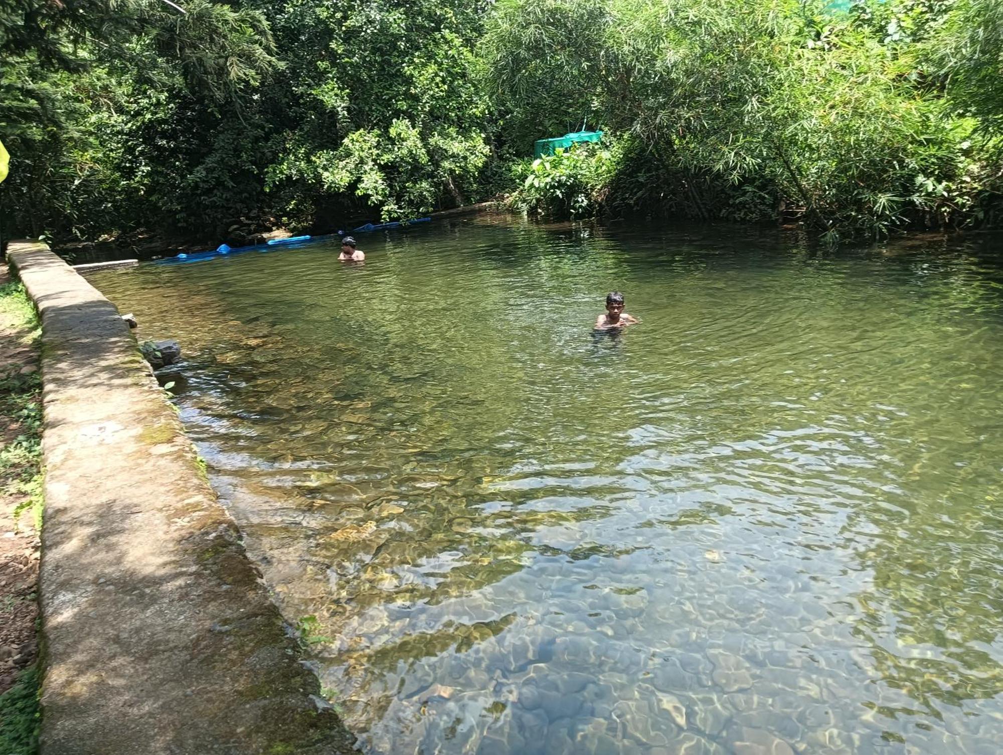 Tharayil Farm Stay Vagamon Dış mekan fotoğraf